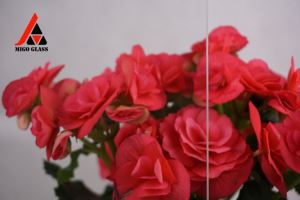 مسح الزجاج المصقول الشمسية