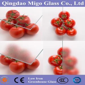 الزجاج المنتشر للدفيئة