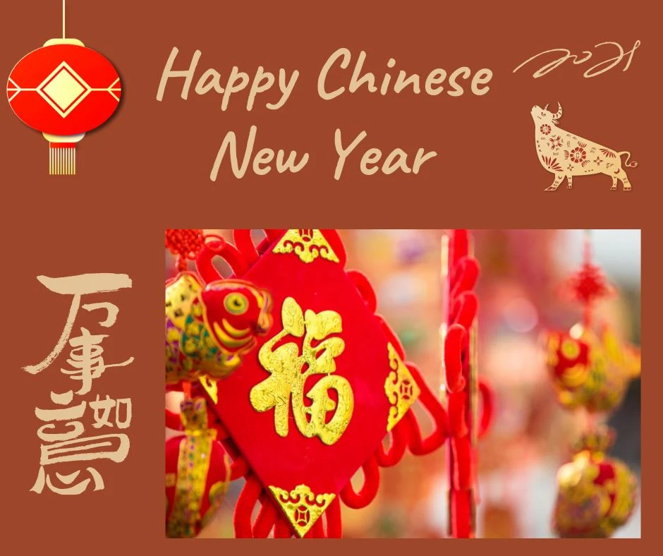 happy new year-5