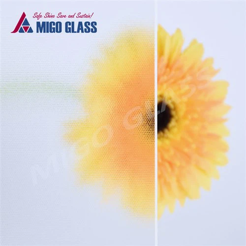 AR طلاء الزجاج الشمسي