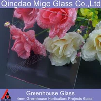 4 مم خفف من الزجاج الدفيئة